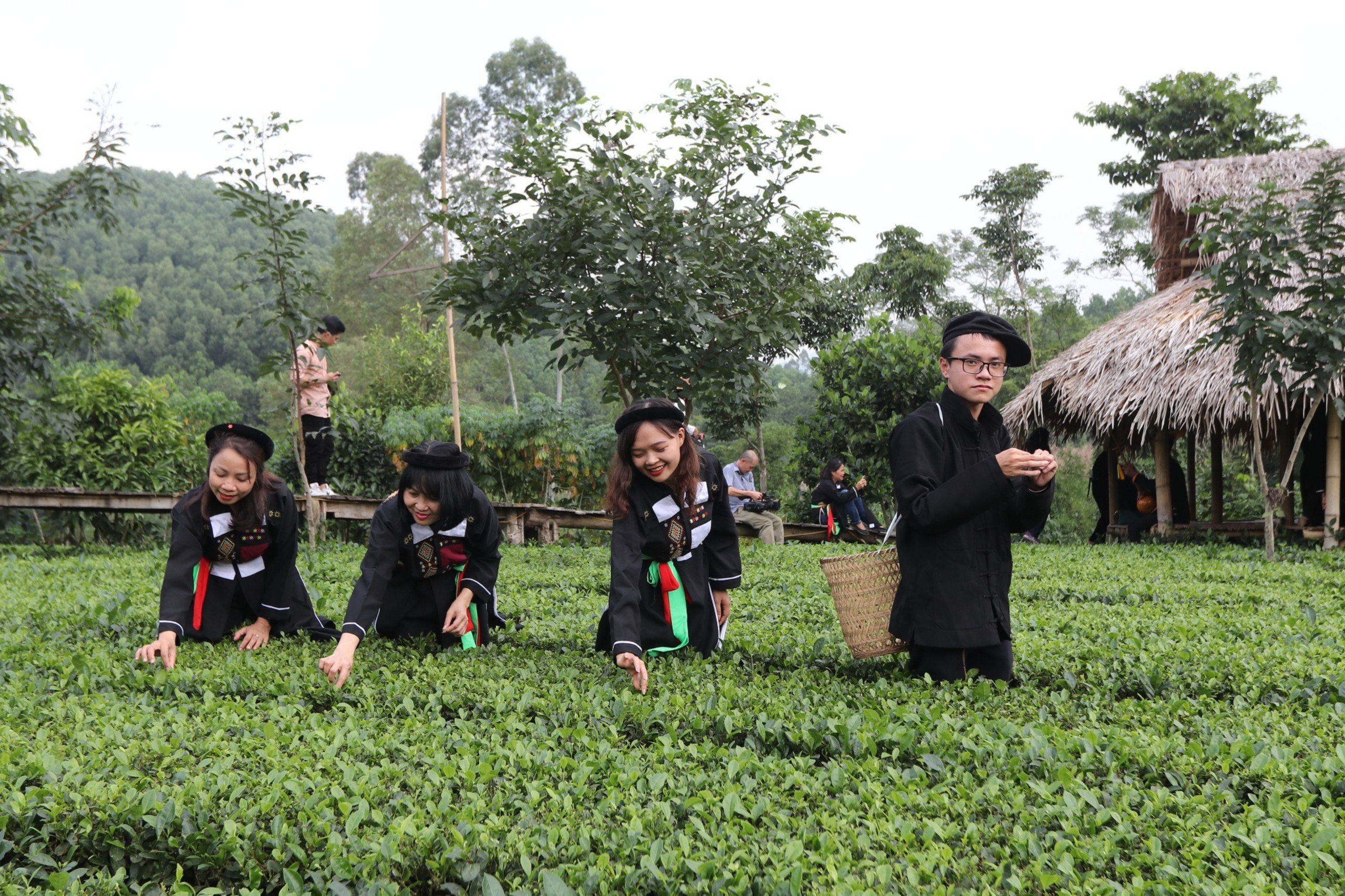 Bắc Giang liên kết phát triển du lịch: DN, hợp tác xã là trung tâm