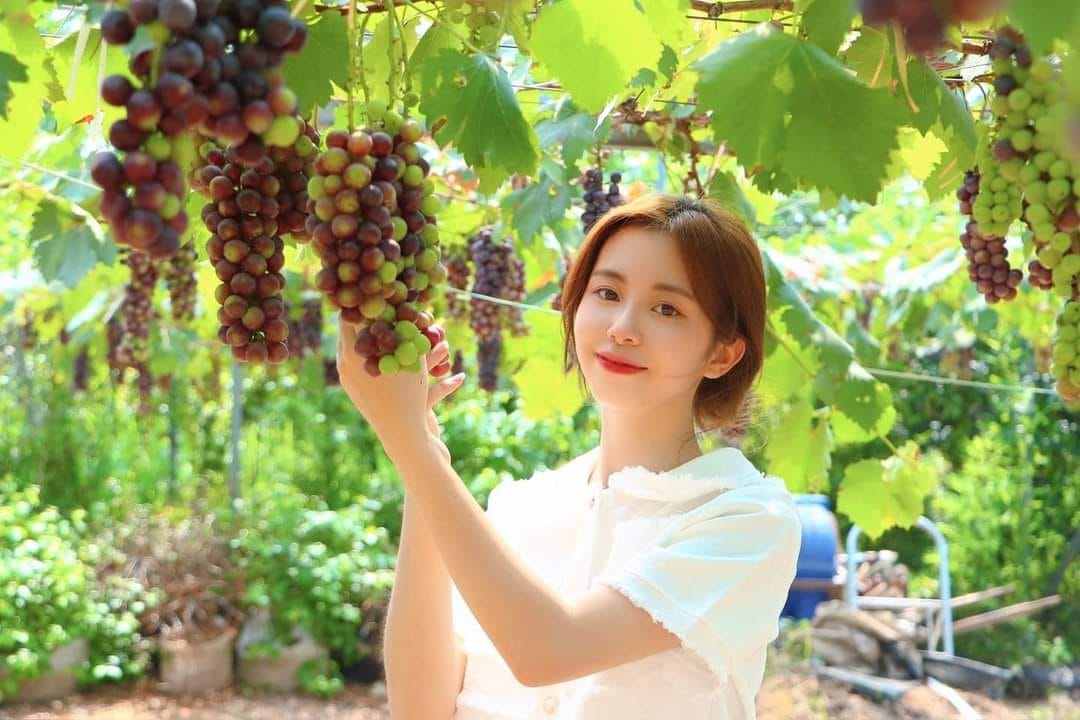 Trải nghiệm du lịch sinh thái, nông nghiệp tại điểm du lịch trường Đại học Nông-Lâm Bắc Giang