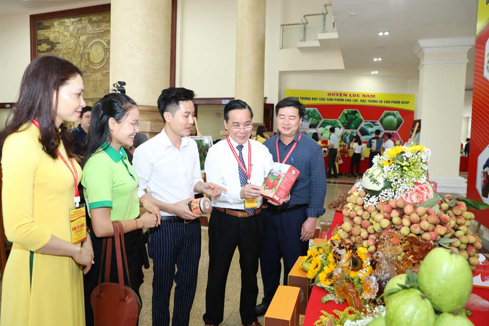 Bắc Giang: Kết nối với hơn 60 điểm cầu chính xúc tiến tiêu thụ vải thiều
