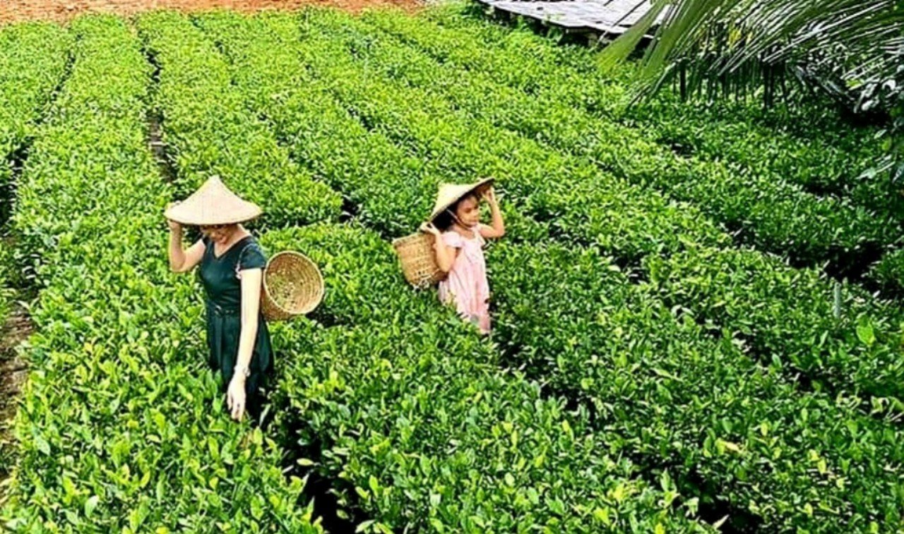 Lượng khách du lịch đến Bắc Giang tăng nhanh so với cùng kỳ