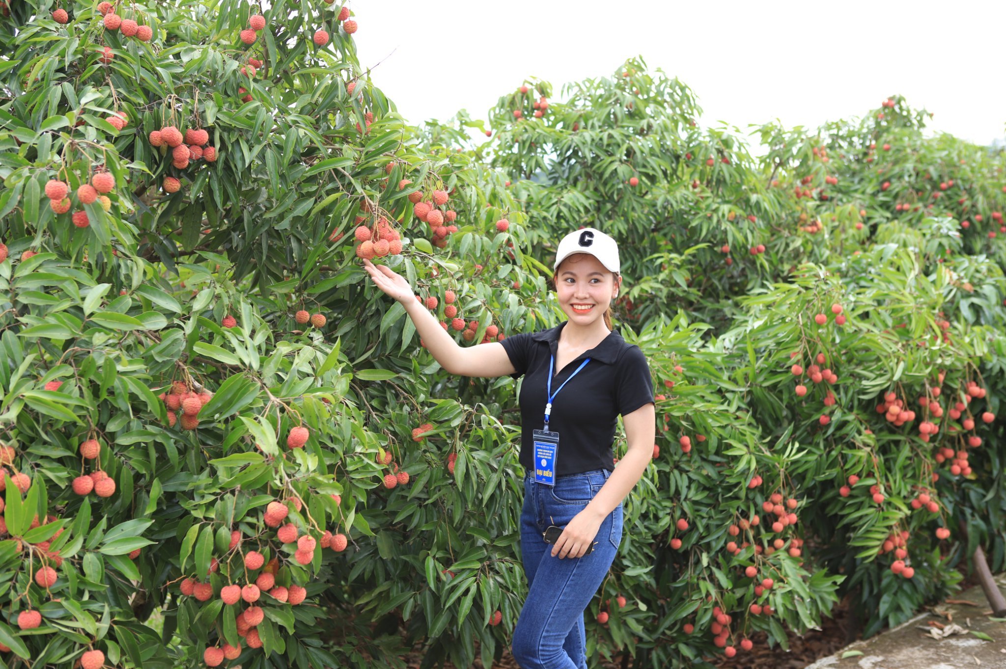 “Hương sắc mùa hè Lục Ngạn” năm 2022