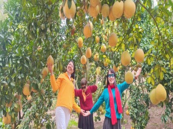 Sản xuất hữu cơ thu hút khách du lịch