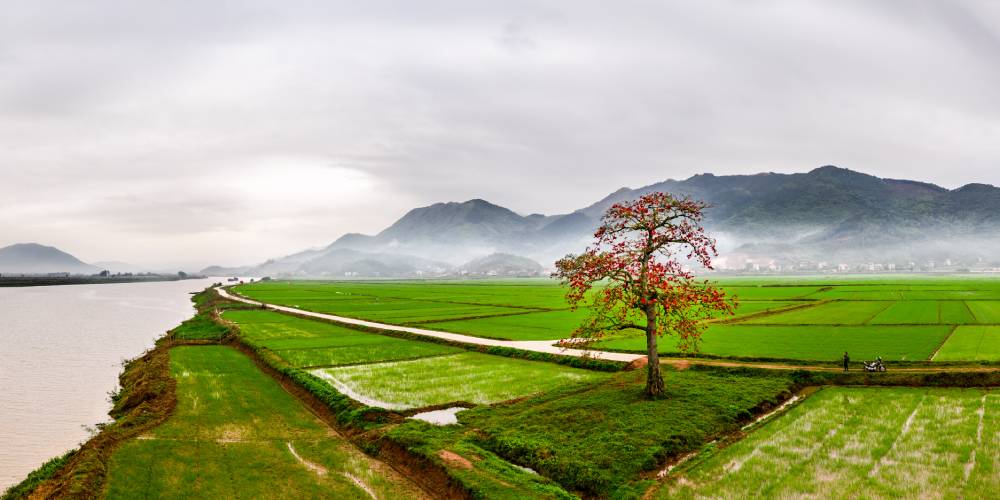 Khai thác phát triển tuyến Du lịch bên dòng sông Lục Nam