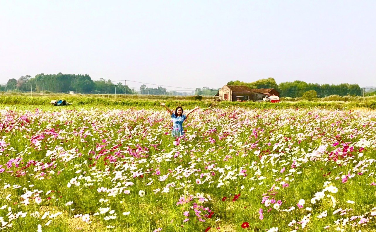 Trải nghiệm phim trường Rose Garden Đa Mai, thành phố Bắc Giang