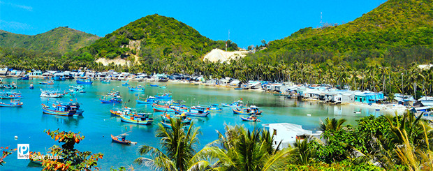 Tour tiêu chuẩn