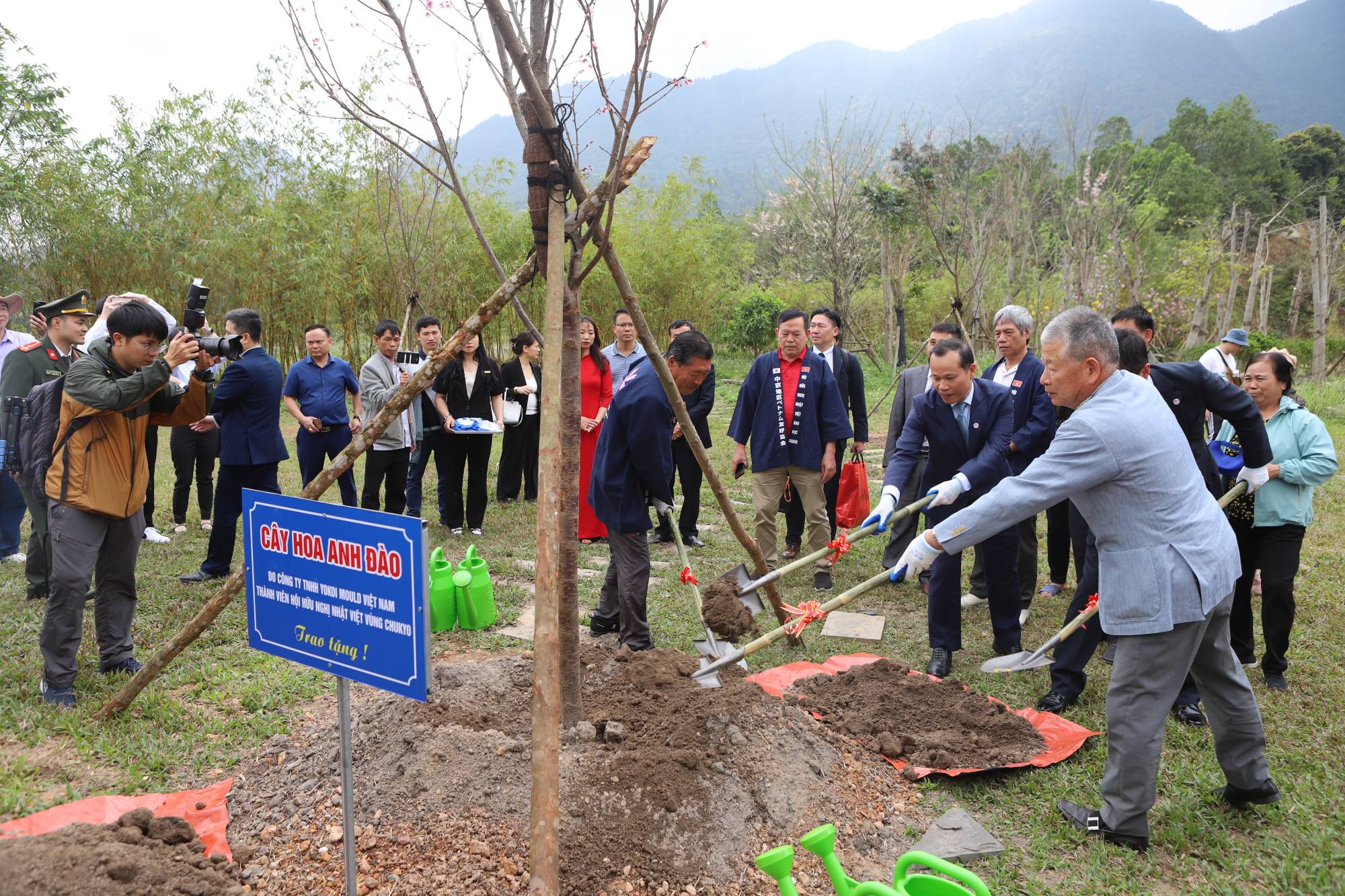 Bắc Giang: Chương trình trồng cây hoa anh đào và giao lưu văn hóa Việt – Nhật