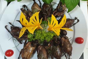 Chim bồ câu nướng