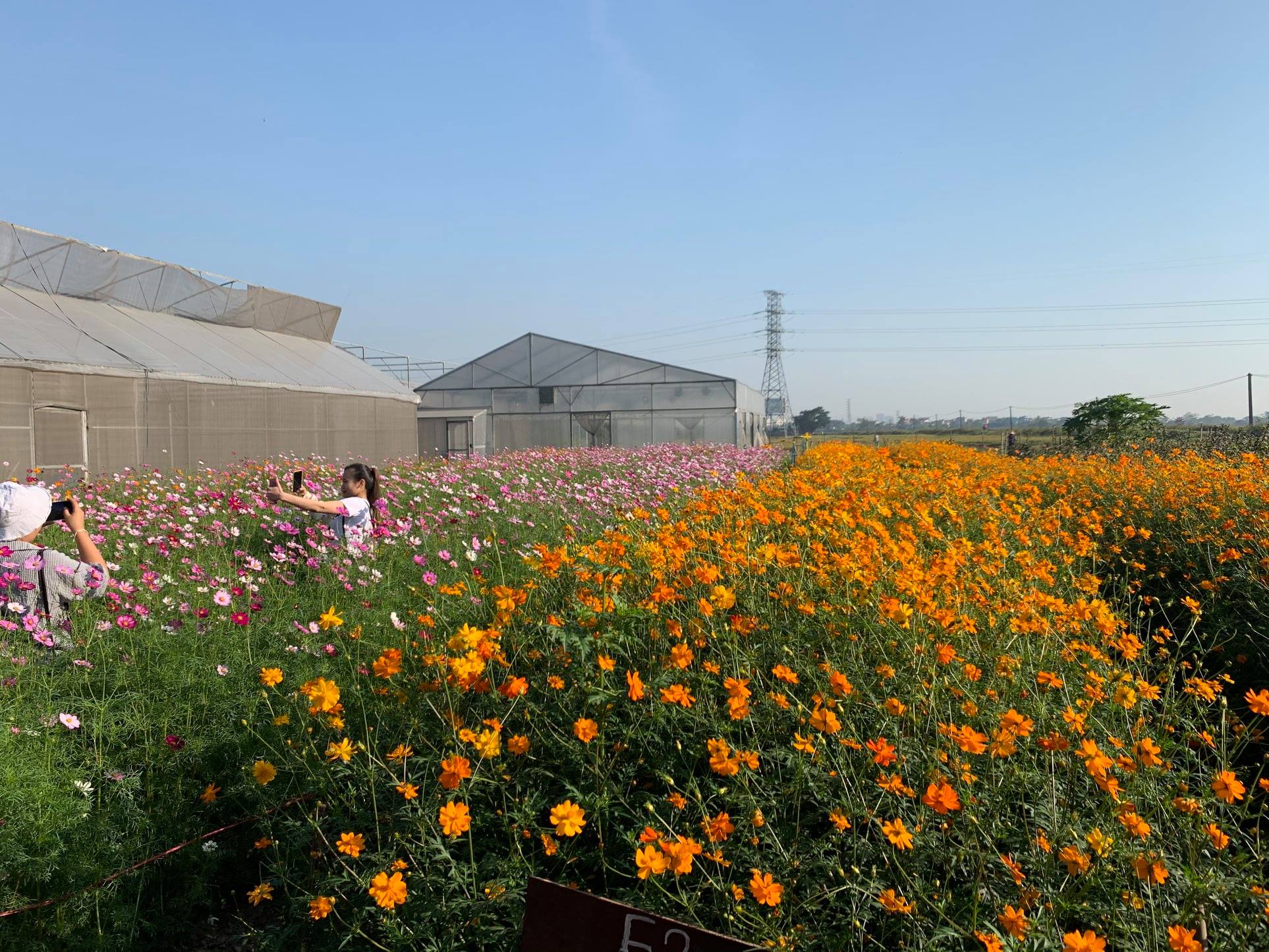 Check-in Vườn Hoa '' Đẹp Như Trong Film '' đang HOT ở Bắc Ninh 