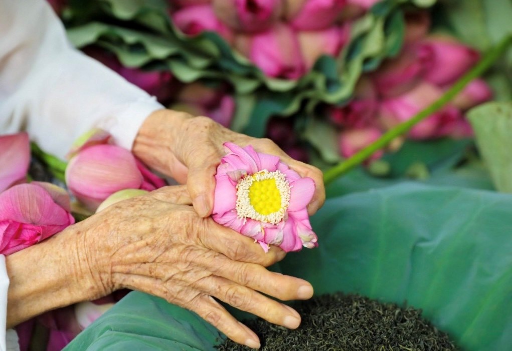 Trà ướp sen Làng Lim vùng quan họ