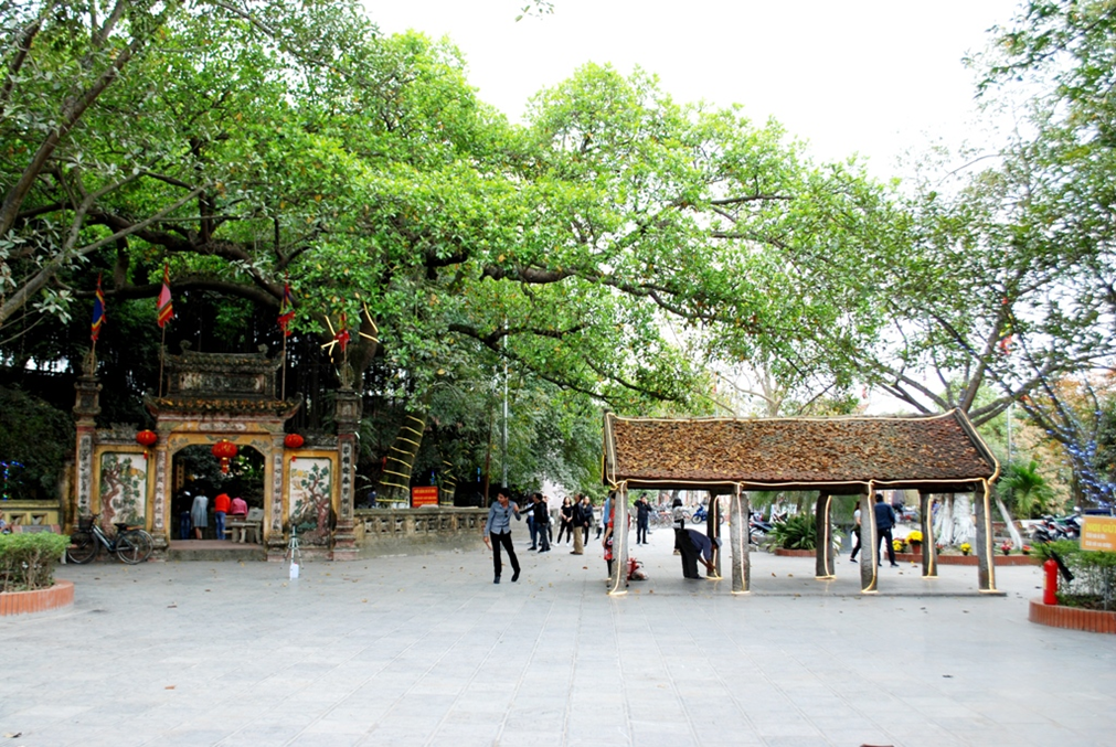 Ngành du lịch phục hồi mạnh, số lượng doanh nghiệp tham gia thị trường tăng nhanh