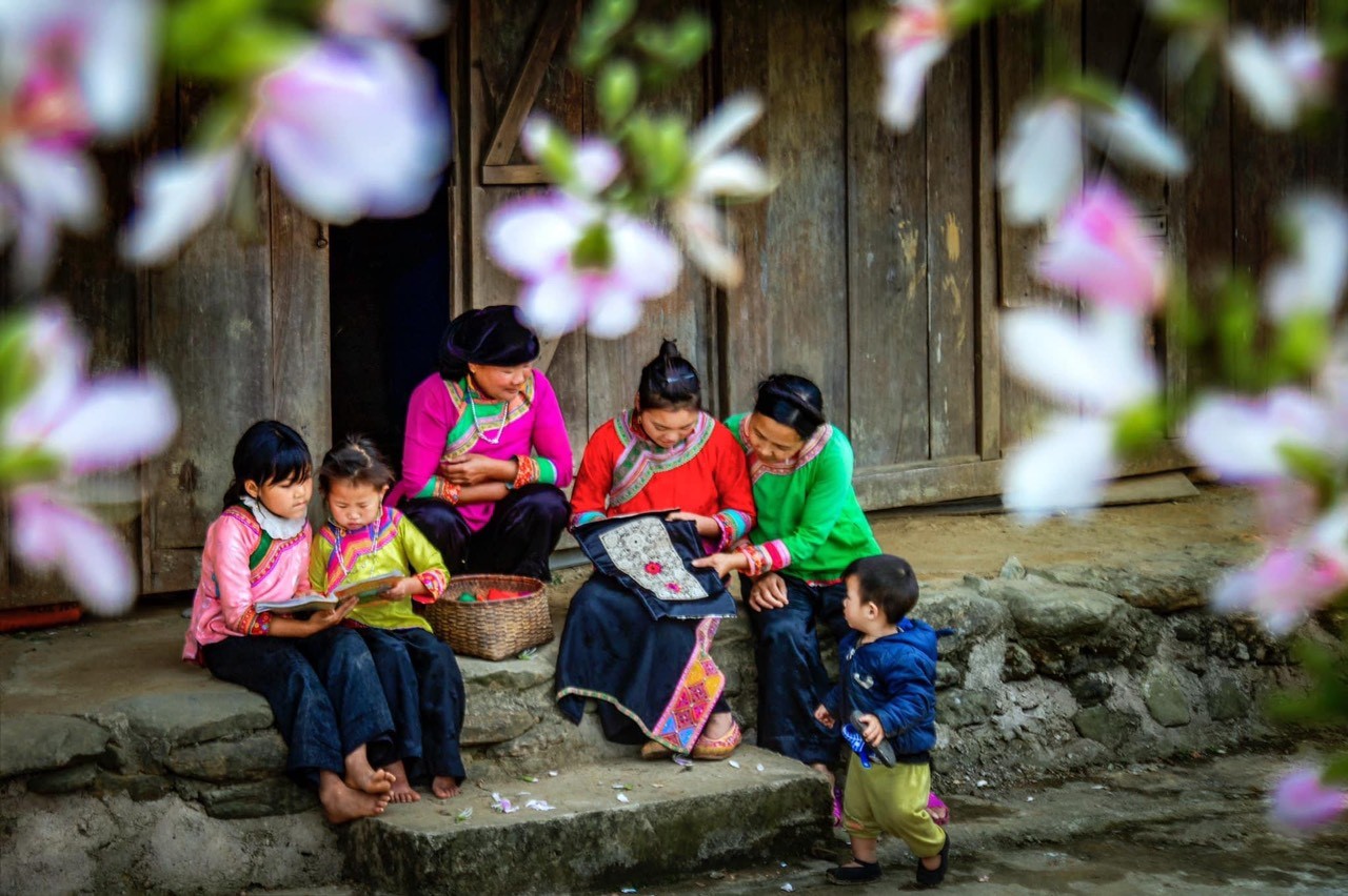 Tham gia bình chọn giải thưởng du lịch “Điểm đến thiên nhiên hàng đầu Việt Nam và Điểm đến thiên nhiên Khu vực hàng đầu Châu Á năm 2024” đối với Khu du lịch quốc gia Mộc Châu