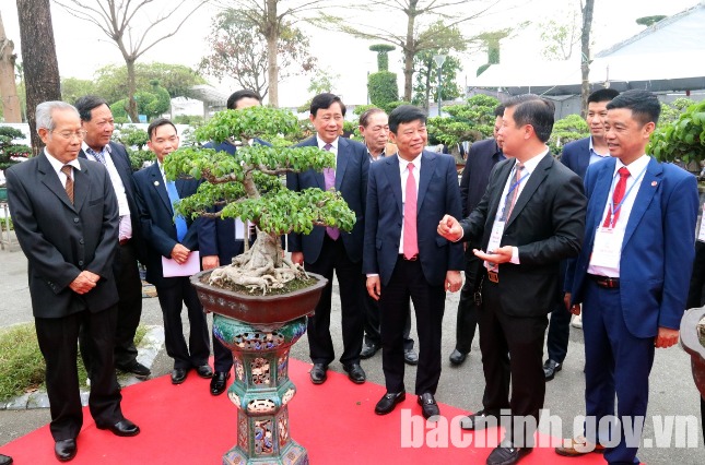 Khai mạc Triển lãm sinh vật cảnh chào mừng Festival “Về miền Quan họ - 2023”  